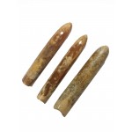 Agatized Belemnite Fossil Polished (6-7cm)